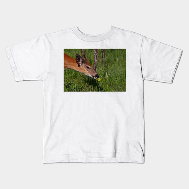 Spring is here! White-tailed deer Kids T-Shirt by Jim Cumming